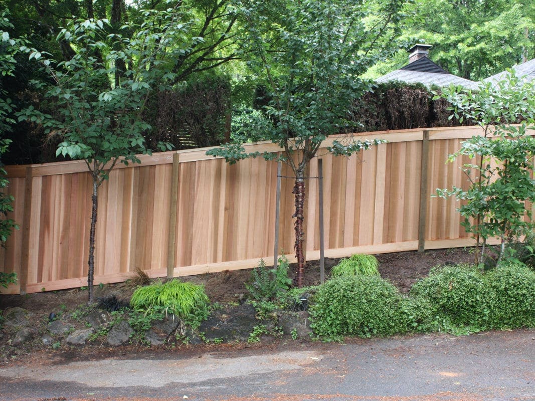 clear cedar fence