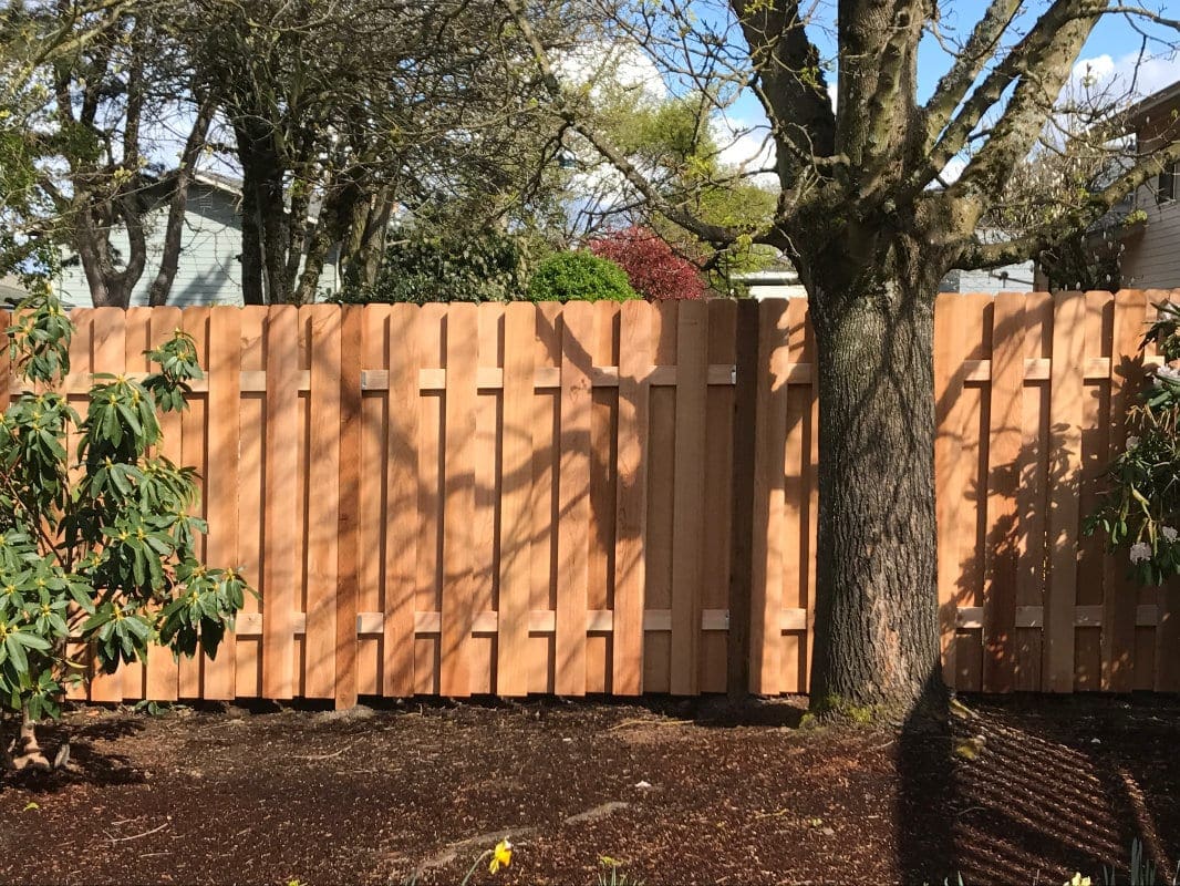 cedar privacy fence